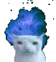 catexplodeblue