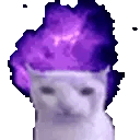 catexplodelean Discord Emoji