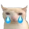 Catcrying catcrying Discord Emoji