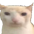 Catbruh catbruh Discord Emoji