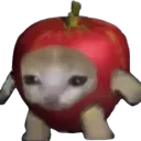 Applecat applecat Discord Emoji