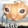 Cat Hello CatHello Discord Emoji