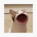 POPCATCHANNELYOUTUBE Discord Emoji