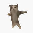 Catdance catdance Discord Emoji