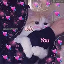 cosy_cathugs Discord Emoji