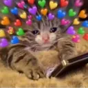 CatHearts