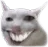 gatoepico