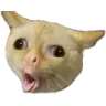 CoughCat
