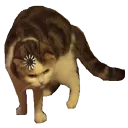 loadingcat