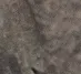 ManuelSpy ManuelSpy