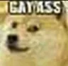 gayass