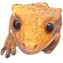 unusual Discord emoji
