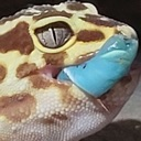 gluttony Discord emoji