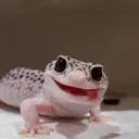 j_gecko Discord Emoji