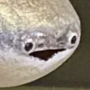sacabambaspis sacabambaspis