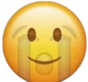 CrySmile Discord emoji
