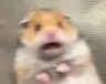 AAAAA