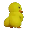 duck_ass_shaker