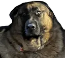 Loureaction