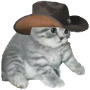 Gogowdy