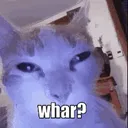 Whar Whar