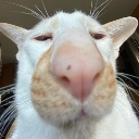 mmh Discord emoji