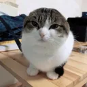 round
