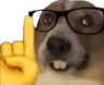 nerddog