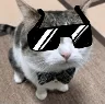 finosunglasses