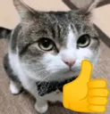 finothumbsup