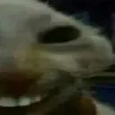ddxxdd2