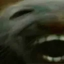 ddxxdd1