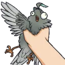 HaiBirdShake