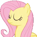 i_fluttershyno