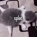 splat