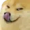 lick
