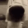 sniffa
