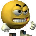 e_5