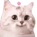 hgtt_meozt