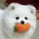 heh