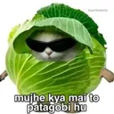 Paod_pattagobi