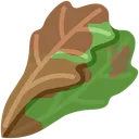 oldCabbage