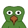 BirdgeStare