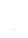 z_rising
