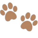 FnT_Brown_Pawprints