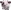 smoolah