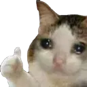 Crying Thumbs Up Discord Emoji