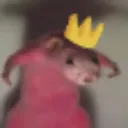 RatKingDominance
