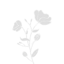 2bouquetggblackpearl