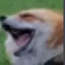 kekfox